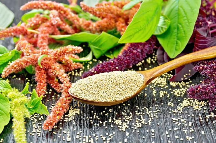 Loại ngũ cốc cổ xưa được ca ngợi là tinh bột "tốt nhất thế giới", vượt trội hơn cả gạo lứt- Ảnh 2.