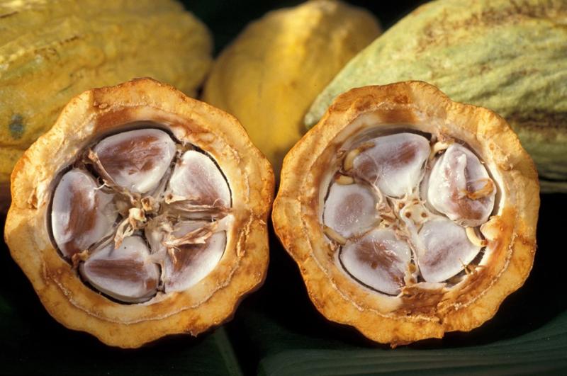 4 thực phẩm chứa polyphenol giúp chống oxy hóa, hỗ trợ tim mạch- Ảnh 2.