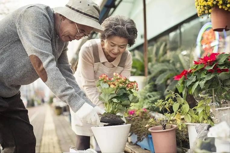 Khảo sát 1.000 người sống thọ trên 100 tuổi hé lộ: Điểm chung của người trường thọ không nằm ở việc tập thể dục, mà là 5 điều này- Ảnh 6.
