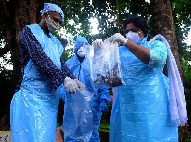 Chuyên gia cảnh báo: Virus Nipah cùng họ virus RNA với COVID-19, có thể lây truyền qua đường hô hấp- Ảnh 5.