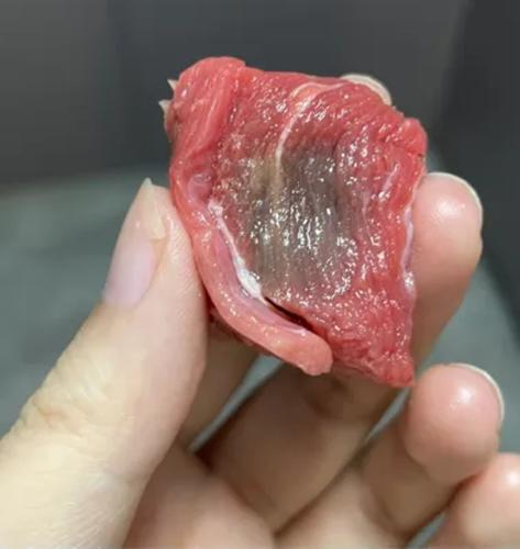 Thịt bò chuyển sang màu xám có phải bị hỏng? Chuyên gia chỉ mẹo xác định độ tươi của thịt bò- Ảnh 4.
