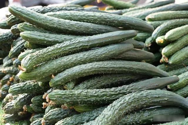 5 loại rau dễ "ngậm hóa chất" nhất chợ, chính người bán cũng không dám ăn, dịp lễ Tết càng nên chọn kỹ khi mua- Ảnh 2.