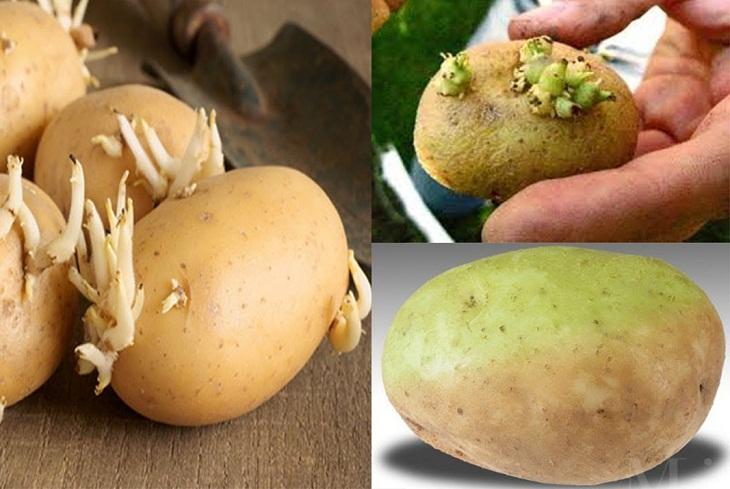 7 loại thực phẩm tưởng chừng an toàn nhưng có thể chứa chất độc: Gia đình bạn nên kiểm tra ngay- Ảnh 2.