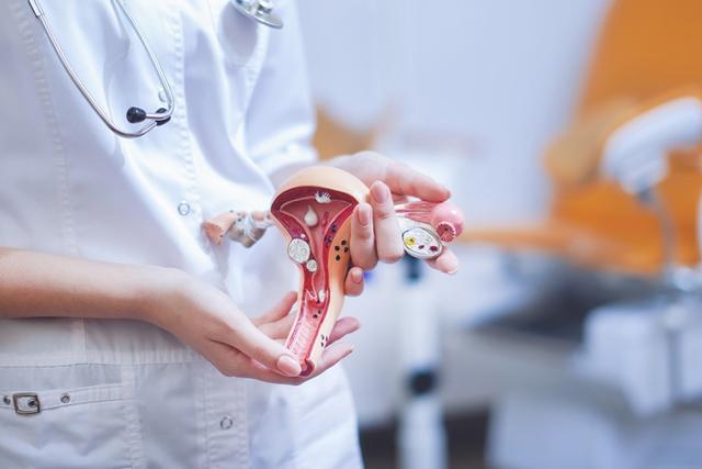 Tử cung khỏe đến đâu, phụ nữ trẻ lâu đến đó: 3 loại đồ uống đơn giản càng uống hormone càng ổn, da cũng đẹp lên- Ảnh 1.