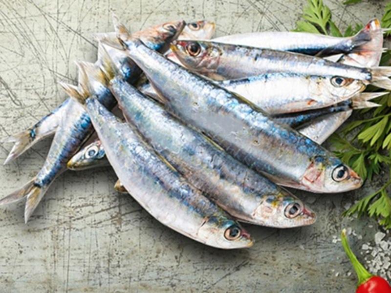 Loại cá được ca ngợi "tốt bậc nhất thế giới", hóa ra là cá quen thuộc ở chợ Việt Nam, giá rẻ khó tin- Ảnh 2.