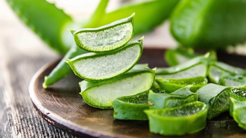 Loại cây ví như "thần dược" cho sức khỏe, hóa ra người Việt lại chỉ trồng làm cảnh- Ảnh 2.