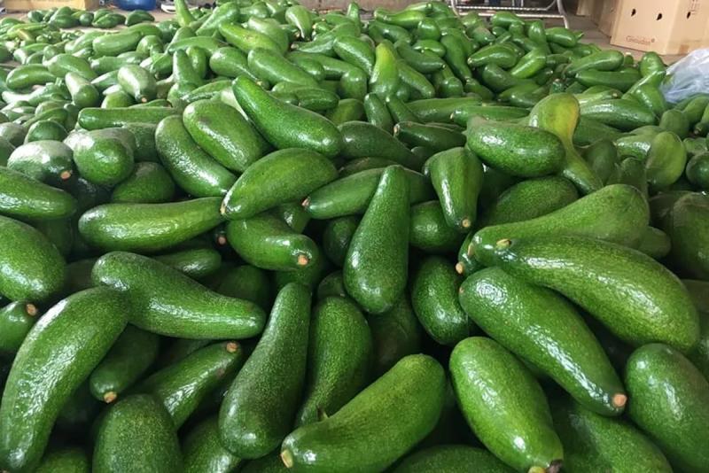 Loại quả “tốt nhất thế giới”, ở Việt Nam trồng bạt ngàn mà giá cực rẻ- Ảnh 3.