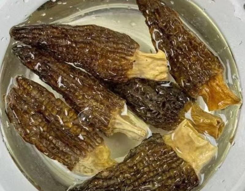 Loại cây dại mọc um tùm ở Việt Nam, "trời Tây" bán giá 13 triệu đồng/kg vẫn có người rút hầu bao- Ảnh 3.