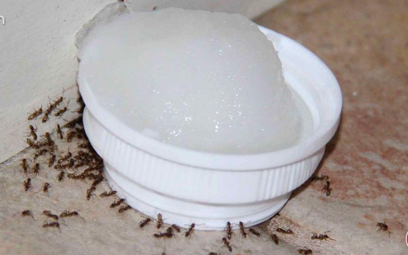 Không chỉ có mì sợi, đây là những thực phẩm có nguy cơ tẩm hàn the chuyên gia muốn cảnh báo người dân- Ảnh 3.