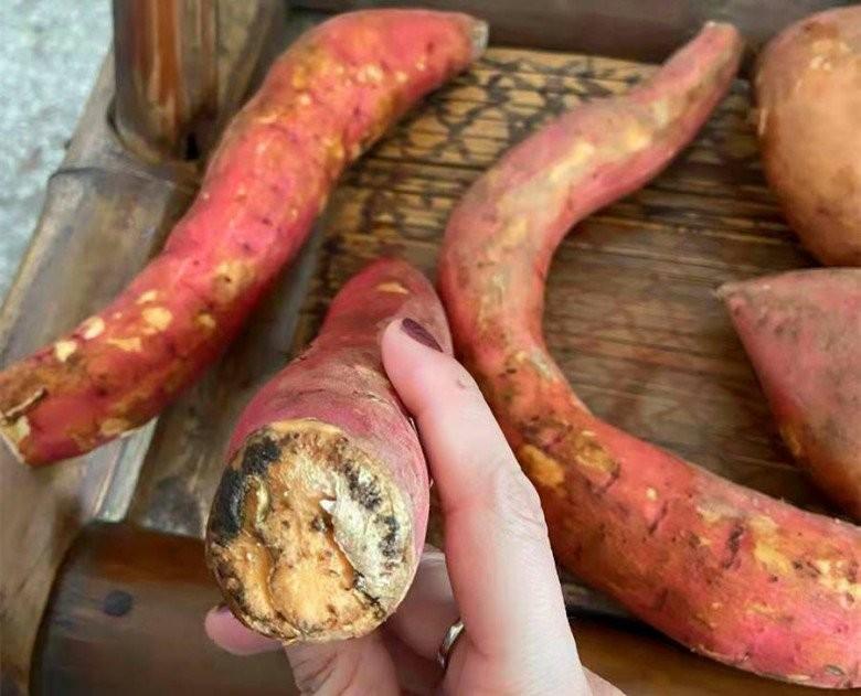 5 loại thực phẩm ngon bổ này sẽ hóa 