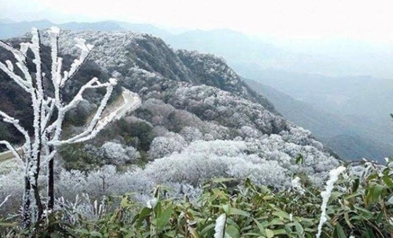Miền Bắc đón không khí lạnh mạnh, đi chợ thấy 3 "thần dược" làm ấm cơ thể này đừng bỏ phí- Ảnh 1.