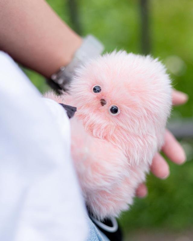 2026, Labubu có thể thất thế trước Mirumi: Bag charm đã 
