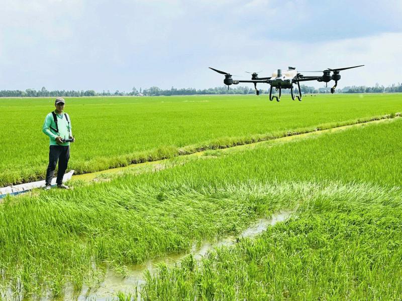 2 hoạt chất thuốc bảo vệ thực vật sắp bị cấm sử dụng tại Việt Nam- Ảnh 1.