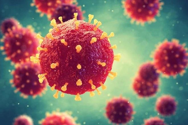 Bác sĩ Bệnh viện Chợ Rẫy chỉ ra 3 con đường lây truyền virus Nipah, nhắc mọi người hiểu đúng để cảnh giác 