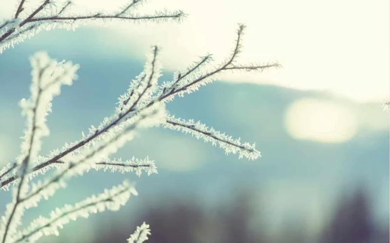 Rét đậm rét hại: Những nhóm đối tượng cần được bảo vệ khẩn cấp- Ảnh 1.