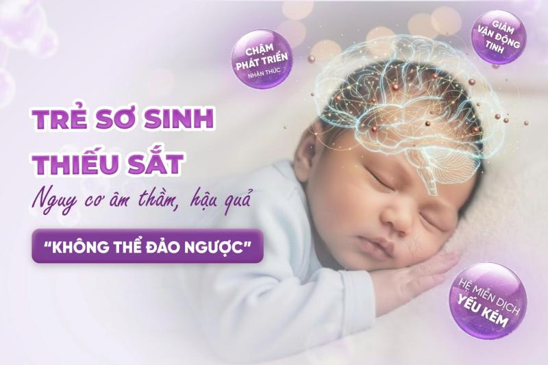 Nghiên cứu mới: 26% trẻ sơ sinh thiếu sắt dự trữ từ bào thai- Ảnh 1.