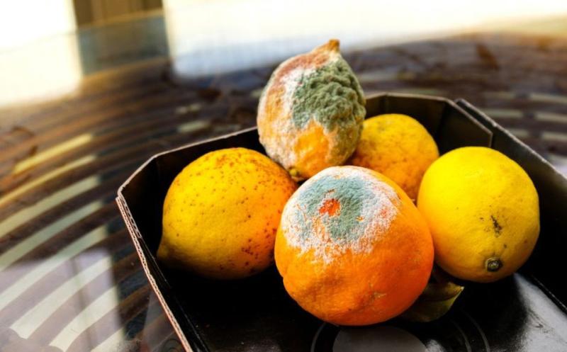 7 loại thực phẩm tưởng chừng an toàn nhưng có thể chứa chất độc: Gia đình bạn nên kiểm tra ngay- Ảnh 3.