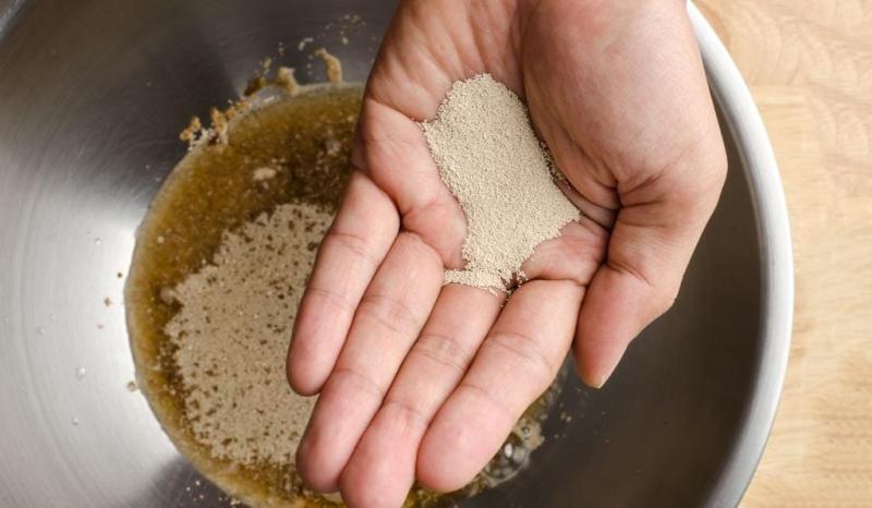 Bật mí 1 thứ trong bia tốt cho hệ vi sinh đường ruột, quen lắm nhưng nhiều người... chưa nghe bao giờ!- Ảnh 2.