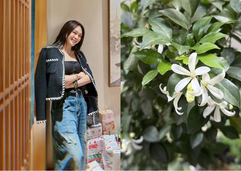 Năm đỉnh cao của nữ thủ khoa Nhạc viện thành công nhất Việt Nam- Ảnh 1.