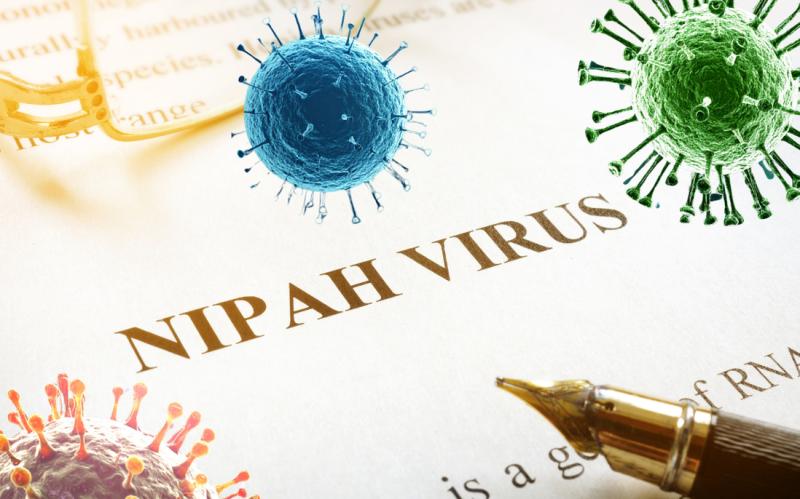 Virus Nipah có khả năng trở thành đại dịch không? Chuyên gia nhận định đường lây và khả năng xuất hiện tại Việt Nam- Ảnh 3.
