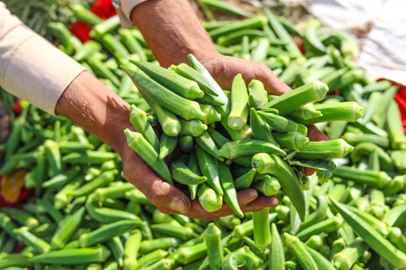 Việt Nam có loại quả "quét" mỡ máu, ngừa ung thư nhưng nhiều người chê không ăn- Ảnh 1.