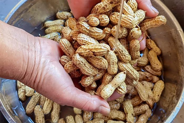 Luộc lạc chỉ cho muối chưa đủ, làm cách này lạc sẽ ngọt mềm, không thâm đen- Ảnh 2.