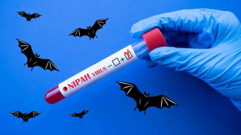 Bác sĩ bệnh viện tuyến đầu nói thẳng về virus Nipah- Ảnh 4.