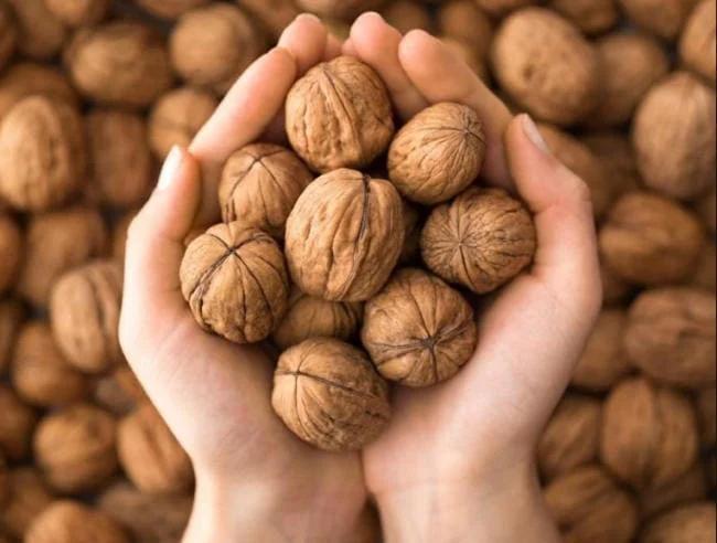 Bổ sung omega-3 từ thực vật: Những thực phẩm không nên bỏ qua- Ảnh 3.