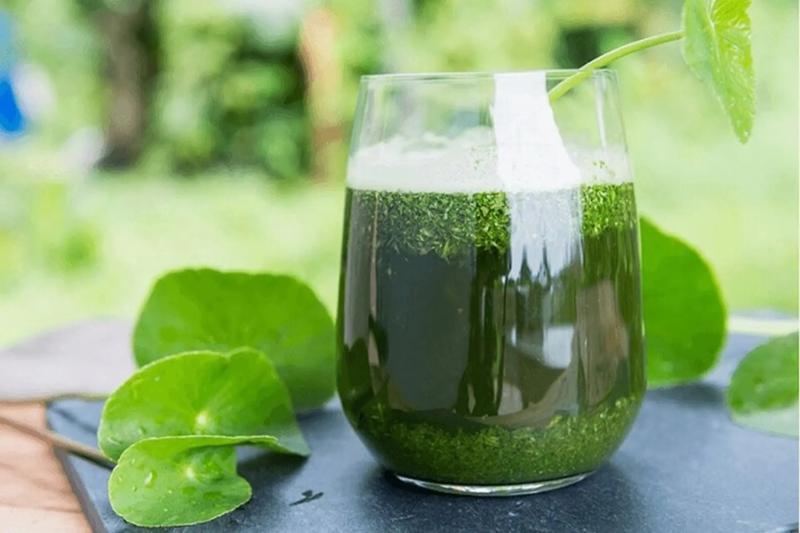 5 loại nước giúp giảm say rượu và bảo vệ gan- Ảnh 1.