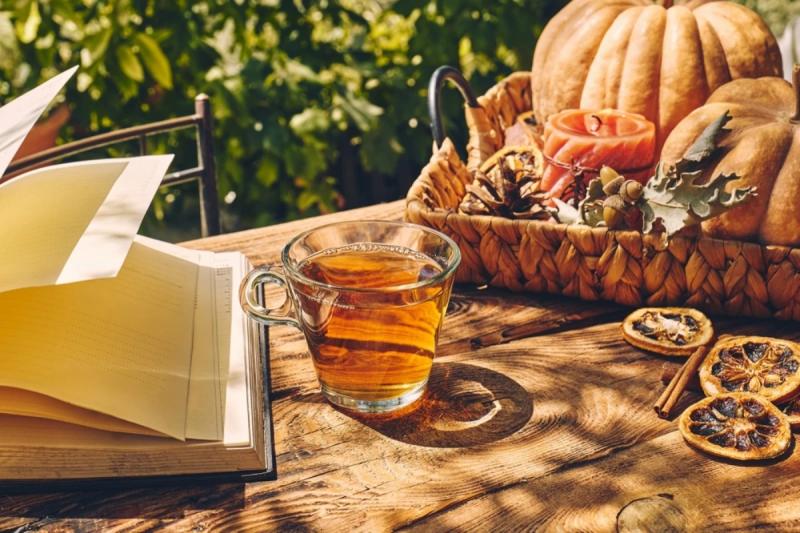 Loại trà lành tính hợp uống sau Tết: Detox, giảm tích nước, trả vòng eo về như cũ- Ảnh 2.