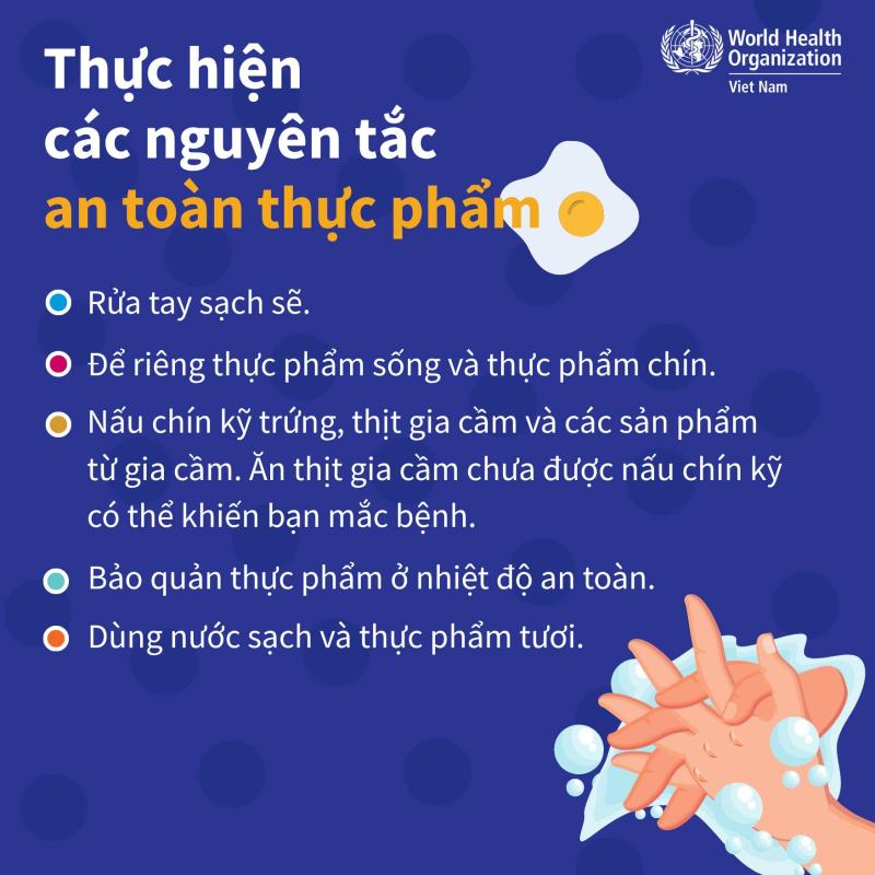 Khuyến cáo giảm thiểu nguy cơ mắc cúm gia cầm- Ảnh 5.