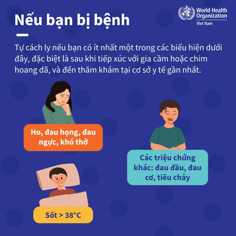 Khuyến cáo giảm thiểu nguy cơ mắc cúm gia cầm- Ảnh 6.