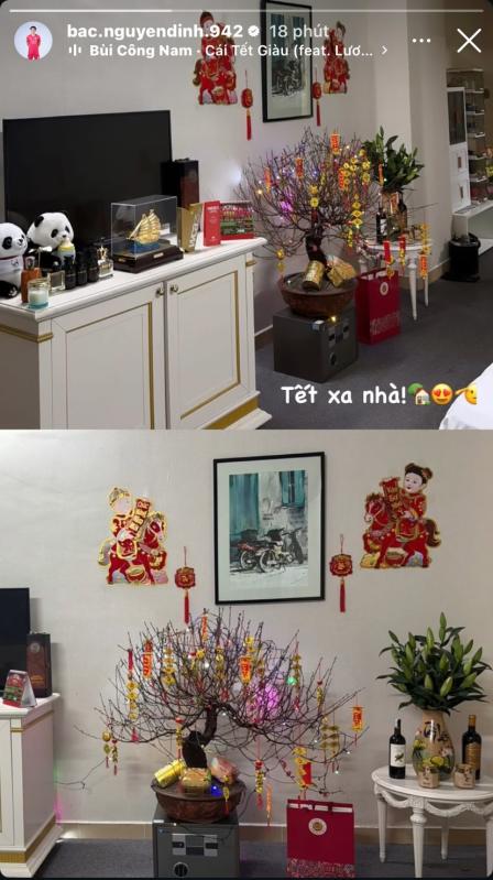Không ai như Đình Bắc: Mang két sắt làm giá đỡ chậu hoa đào, mặc đồ kín bưng mua bình cắm hoa Tết cũng viral- Ảnh 1.