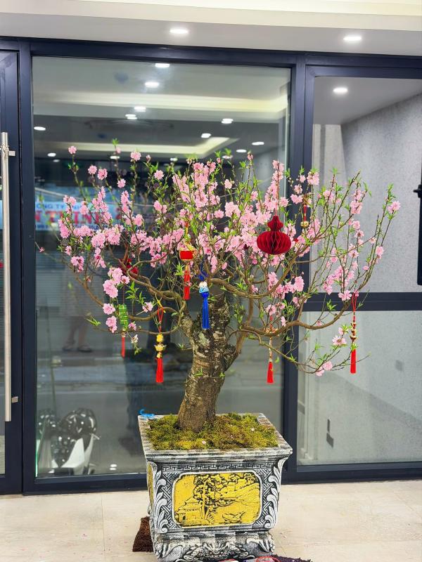 Cuộc sống của Duy Mạnh và vợ tiểu thư Hà thành trong cơ ngơi 5 tầng ở trung tâm phố cổ, netizen “chỉ biết ước”- Ảnh 4.