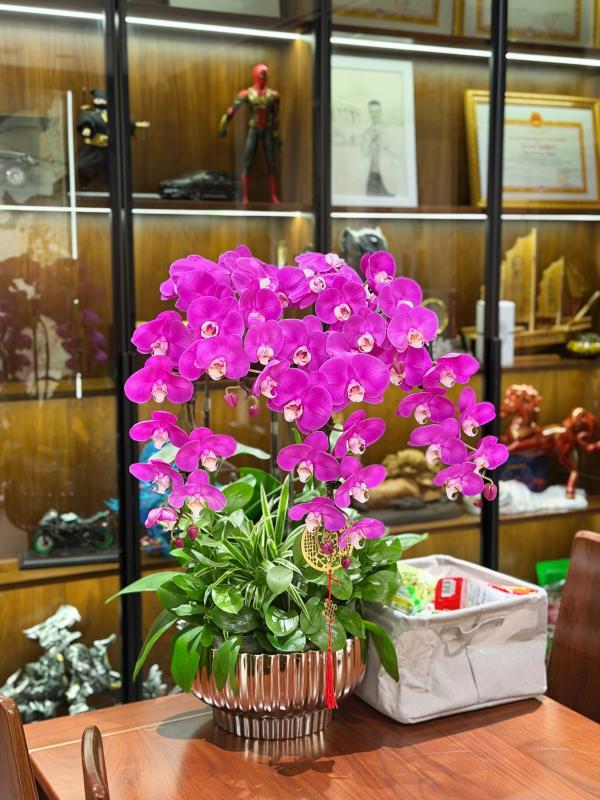 Cuộc sống của Duy Mạnh và vợ tiểu thư Hà thành trong cơ ngơi 5 tầng ở trung tâm phố cổ, netizen “chỉ biết ước”- Ảnh 3.