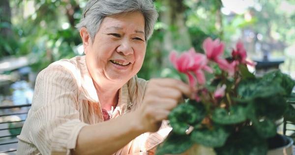 Nhiều người ngoài 60 vẫn hiểu nhầm: Tập thể dục không là tất cả- Ảnh 2.