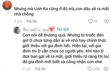 Gia đình nói gì về mối quan hệ của Dương Domic và Linh Ka?- Ảnh 2.
