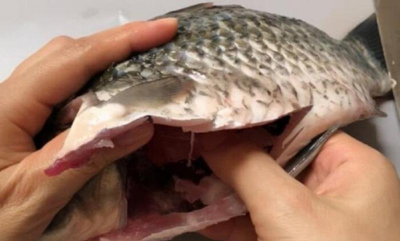 2 bộ phận của cá "cực độc, nhất là cái số 1, nhiều người thích ăn vì tưởng bổ- Ảnh 2.
