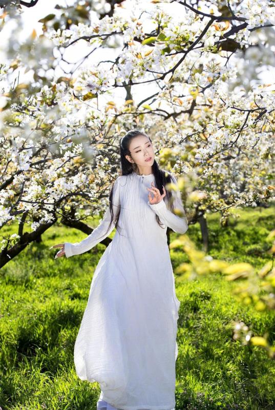 "Chim công làng múa" Dương Lệ Bình U70 vẫn dáng thẳng lưng thon: Rất chăm dùng 2 "món" để nuôi dưỡng khí huyết, bổ nội tiết- Ảnh 4.