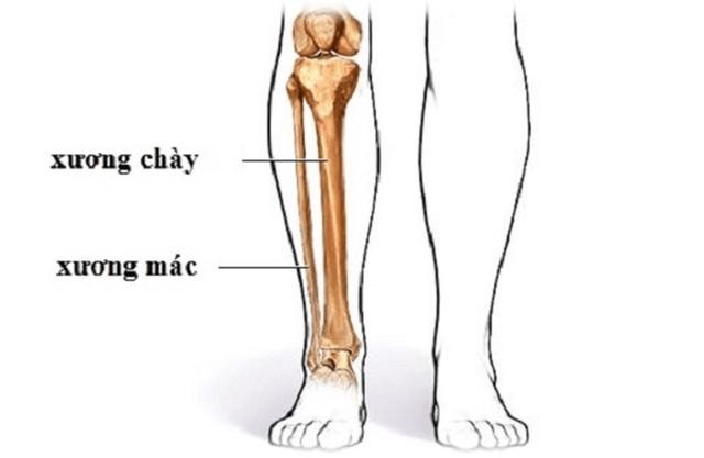 Cứu đôi chân bé gái 8 tuổi khỏi nguy cơ tàn phế vì ung thư sụn- Ảnh 1.