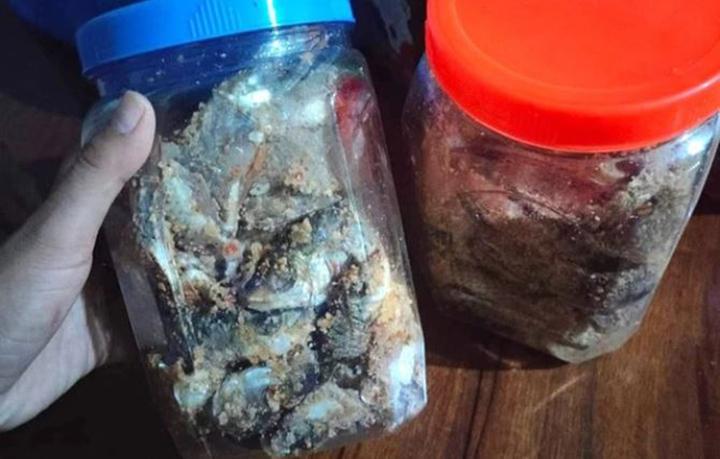 Nghi ngộ độc sau khi ăn cá ủ chua ngày cận Tết- Ảnh 1.