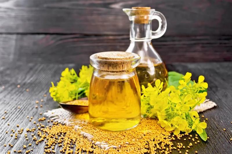 Nhiều gia đình đang dùng sai dầu ăn mỗi ngày: Dầu hạt cải có thực sự vô hại? 3 loại dầu ăn nên hạn chế để bảo vệ tim mạch- Ảnh 1.