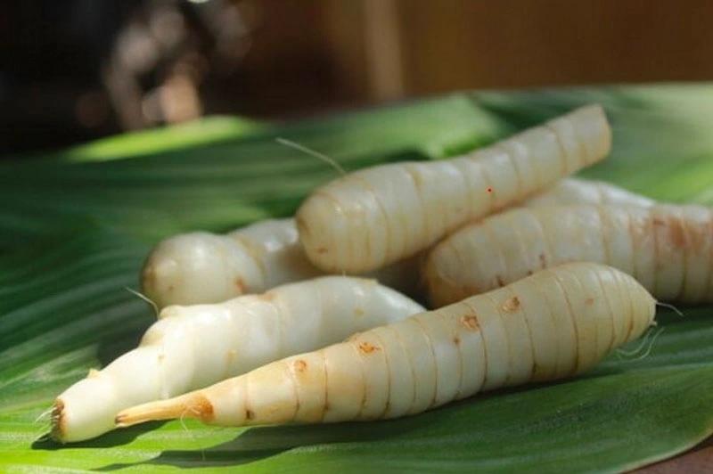 Củ dong riềng tưởng chỉ để ăn cho ấm bụng, hóa ra lại giúp xương chắc, mắt khỏe, đề kháng tốt hơn- Ảnh 2.