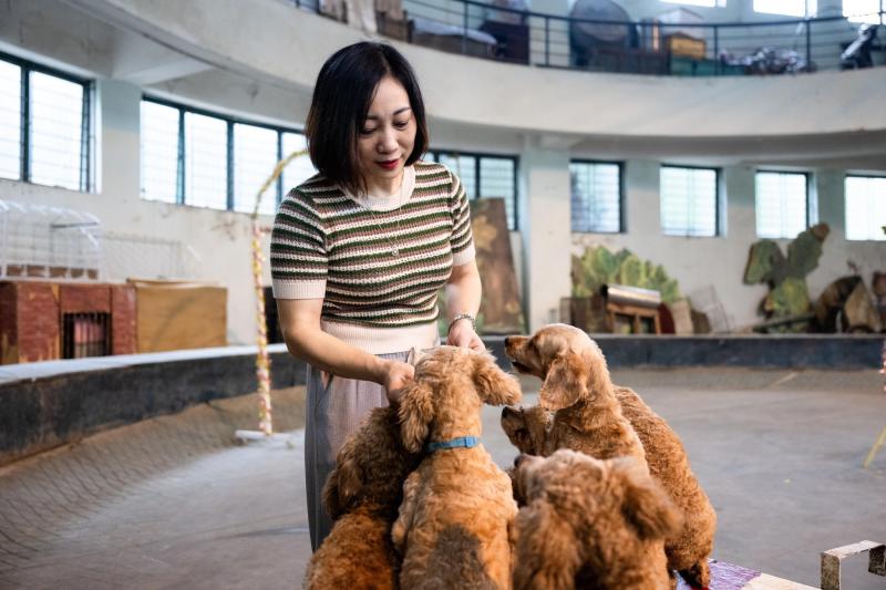 Đi thăm trâu, khỉ, ngựa... giữa trung tâm Thủ đô và nghe những chuyện thấy 