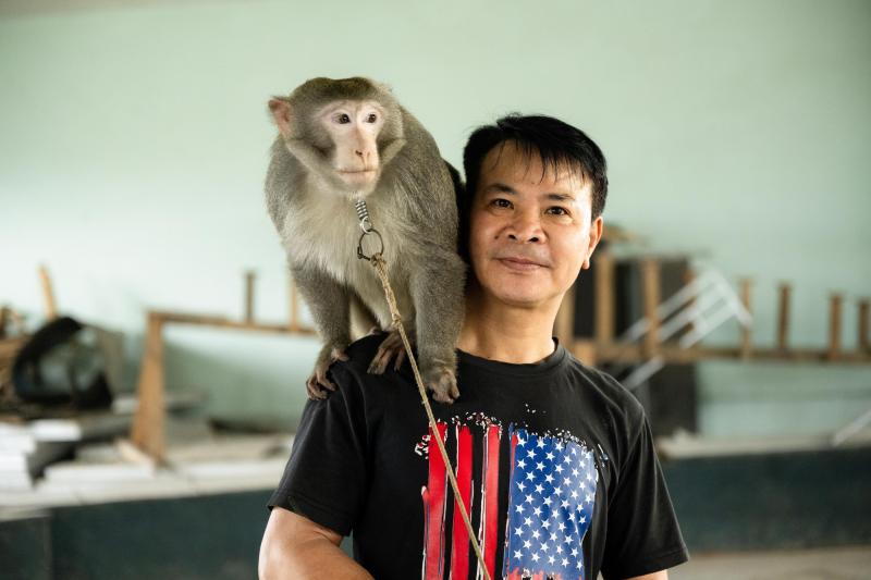 Đi thăm trâu, khỉ, ngựa... giữa trung tâm Thủ đô và nghe những chuyện thấy 