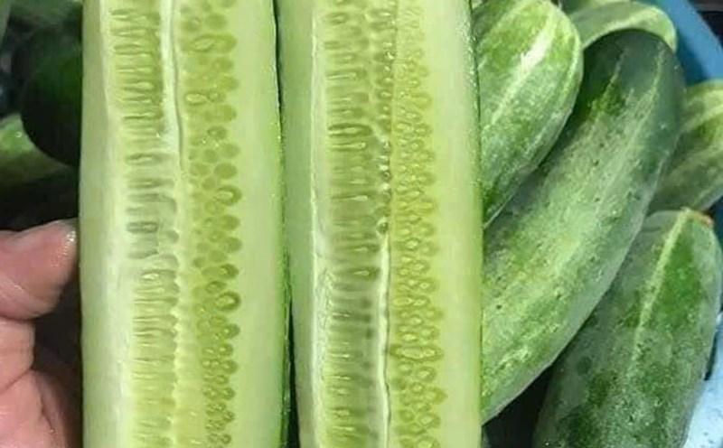 5 loại rau quả rất tốt cho thận, bác sĩ khuyên nên ăn thường xuyên- Ảnh 2.