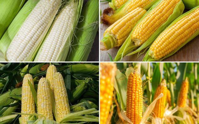 Đây mới là loại quả được khuyên ăn thường xuyên để bảo vệ và trẻ hóa tim mạch- Ảnh 1.