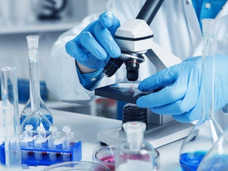 Phát hiện ca bệnh giả ung thư dạ dày hiếm gặp- Ảnh 1.