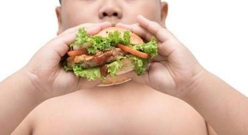 Báo động từ bữa ăn hiện đại- Ảnh 1.