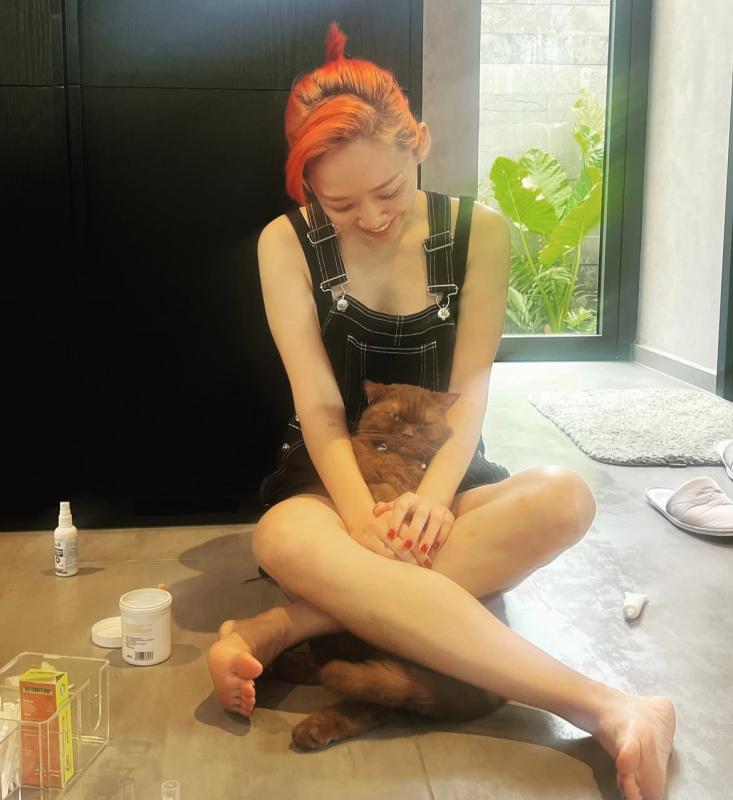 Điều khó phân chia của Tóc Tiên và Touliver sau ly hôn- Ảnh 3.
